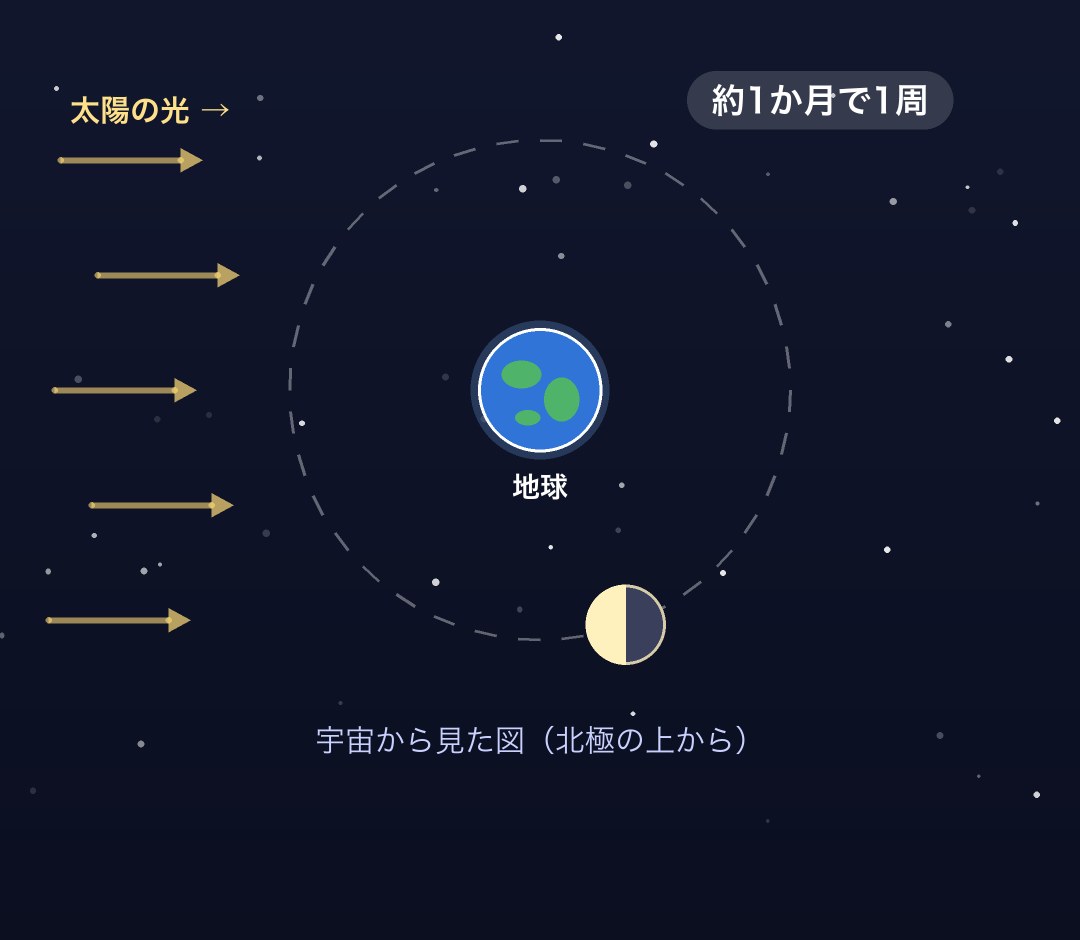 北極の上から見た図。地球のまわりを月が回り、月の太陽側の半分がいつも明るい